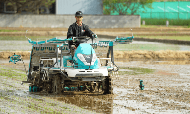 私が作っています