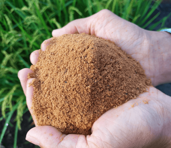 「いのちの壱」「コシヒカリ」の両品種がコンテストで2部門金賞に輝きました!