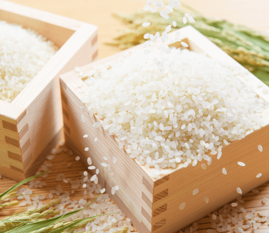 「いのちの壱」「コシヒカリ」の両品種がコンテストで2部門金賞に輝きました!